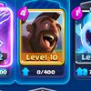 crl17_