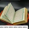 user4966909816256