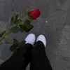 sgzcz0