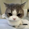 nabilaa_31698