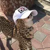 kleo_in_a_cap