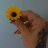 roberthinha46