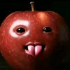 bombo_b_o_c_lat
