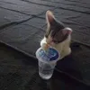 betuylmz