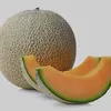 cantaloupe472