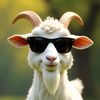goat calling name 786