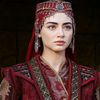 ali.heydar81