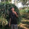 ari.hamzah96