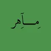 1bibk