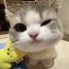 _maru_39