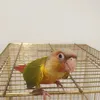 mahdi.eehab