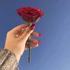 user72061561155972