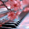admiro.musica