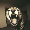 anielaluvsmusic