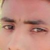 user7844729274231
