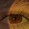 mobina_867
