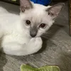 actuallyvanna8