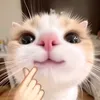 manusia_imut710