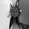 .habiba029
