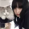 ailisiing