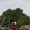 abhishek.mandal281