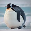 fatpenguin944