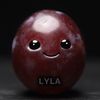 lylxz67