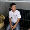 y_ogeii13