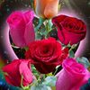 b.sikindhareddy