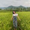 wawa_lucuu