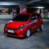 redpelpet88