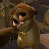 thanhhoa.dd