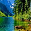 mozahid.ali3