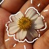 az_zahraa0726