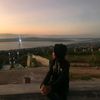37_ipulzz_