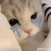 thnhzai._