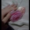 dalia123563