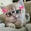 silpysukayapping
