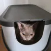 skligi