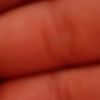 user8205591583185