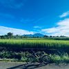 dedemit.selabintana