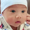 vn.anh8135