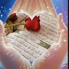 user448635756182