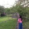 euniceronquillo012
