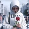 diva.da.gal