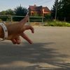 meicly_toca5