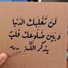 user8052229936177