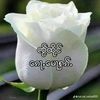 user82570619530396