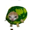 qeto_qeto837