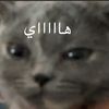 user73168767154325
